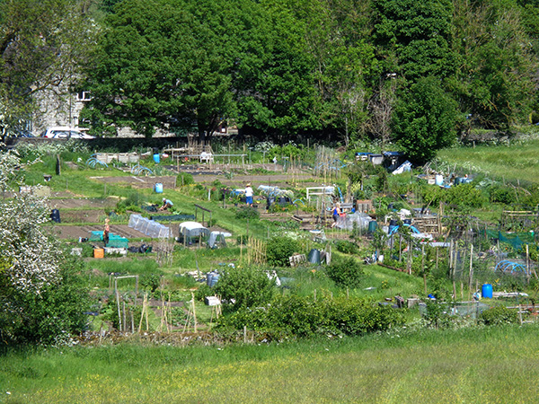 Stoney Middleton Allotments